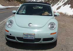 Der Beetle erstickt im Dreck
