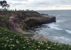 Der Pazifik bei La Jolla